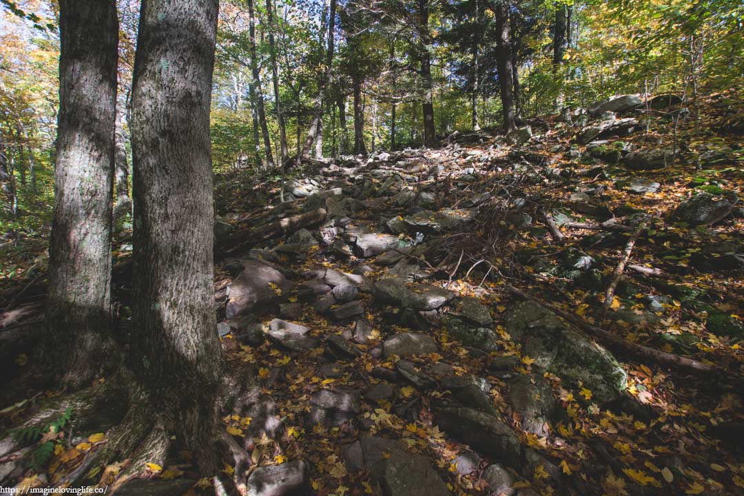 yellow trail ascent